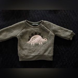 3 Month Pekkle Fleece Dino Sweatshirt